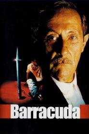 Barracuda